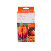 Hectarul - Set 5 bulbi lalele, Princess Irene